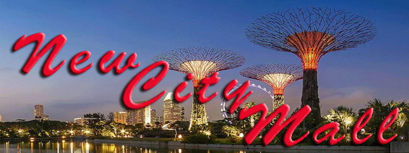 The New City Mall ... fast and convenient Secure Online Shopping . . . 